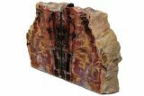 Tall, Arizona Petrified Wood Bookends - Red, Yellow, and Purple #222157-2